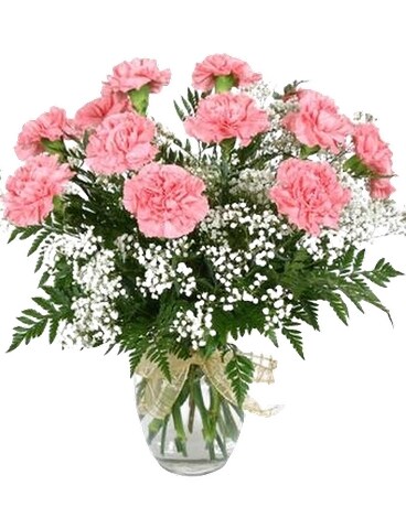Pink Carnations -10 Stems Flower Arrangement