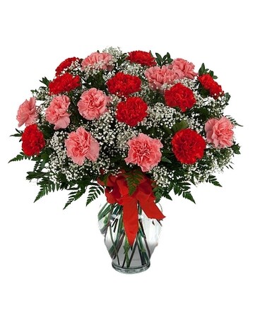 Pink/Red Carnations-24 Stems Flower Arrangement
