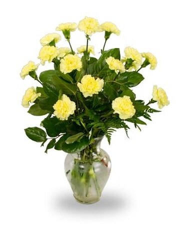 Yellow Carnations -12 Stems Flower Arrangement