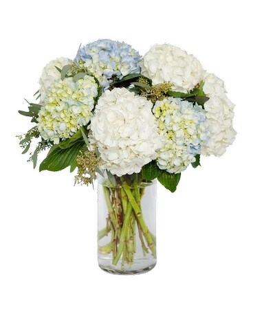 Blue and White Hydrangeas Vase Flower Arrangement