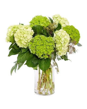 Green and White Hydrangea Flower Arrangement