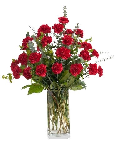 Red Roses/Red Carnations-24 Stems Flower Arrangement
