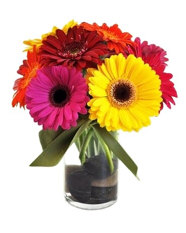 Bundle of Joy Flower Arrangement
