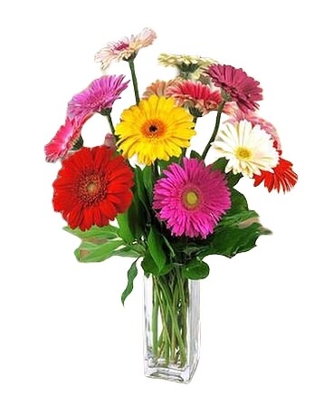 Summer Breeze Flower Arrangement