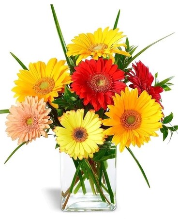 Brite Eyes Flower Arrangement