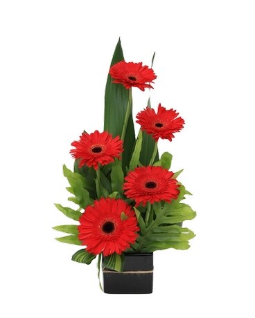 Caribbean Cut Flower Arrangement