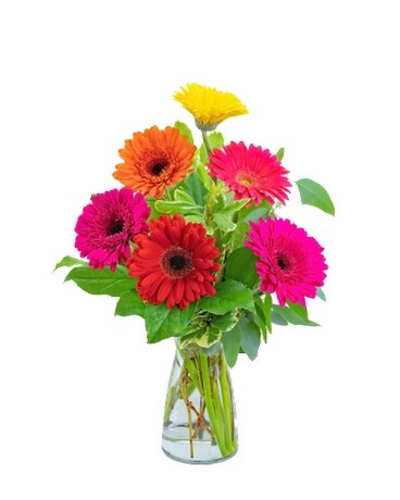 Bahama Mama Flower Arrangement