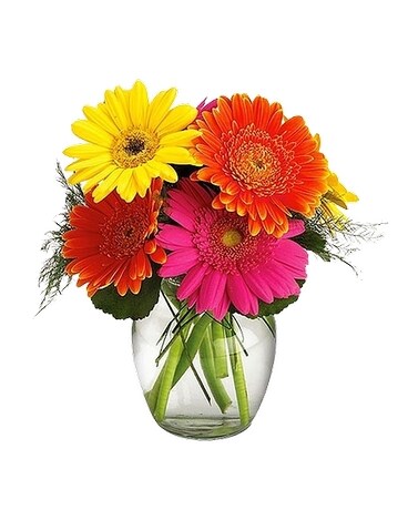 Spirit of the island Flower Arrangement