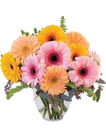Gerberas Galore Flower Arrangement