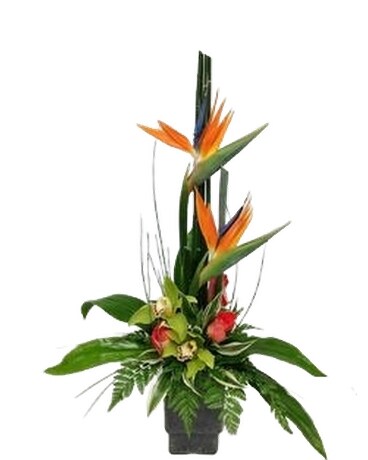 Exotic102 Specialty Arrangement