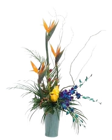 Exotic84 Specialty Arrangement