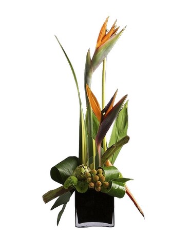 Exotic83 Specialty Arrangement