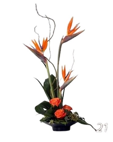 Exotic-110 Specialty Arrangement