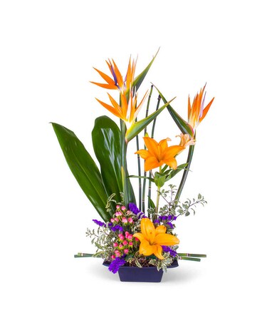 Exotic86 Specialty Arrangement