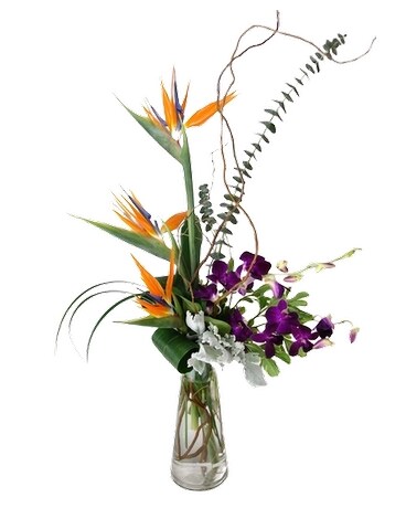 Exotic91 Specialty Arrangement