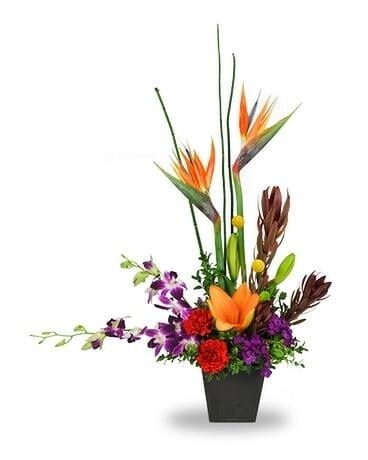 Exotic105 Specialty Arrangement