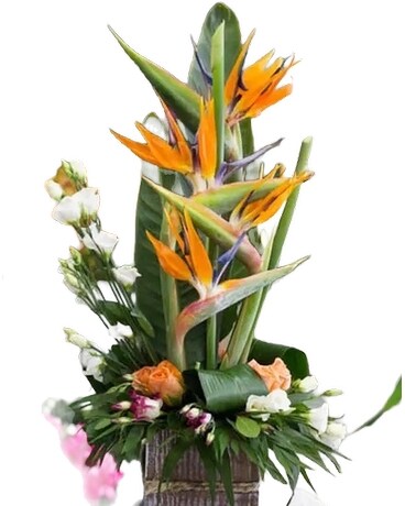 Exotic-114 Specialty Arrangement