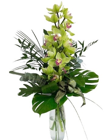 cymbidium orchid Specialty Arrangement