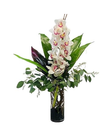 cymbidium orchid Specialty Arrangement