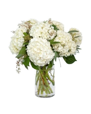 All White Hydrangeas in a Vase Flower Arrangement