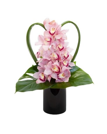 Large pink cymbidium orchid Specialty Arrangement
