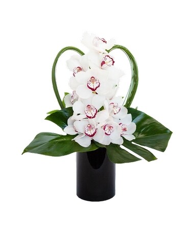 Large white cymbidium orchid Specialty Arrangement