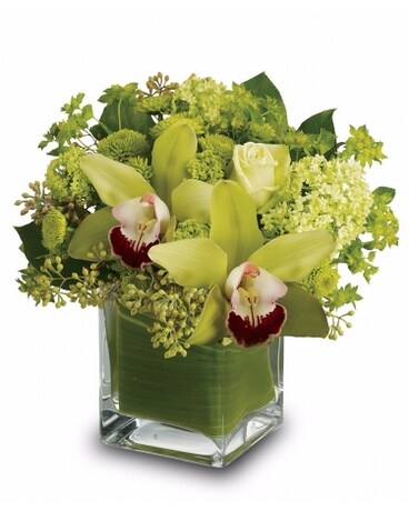 Green Cymbidium Orchids Specialty Arrangement