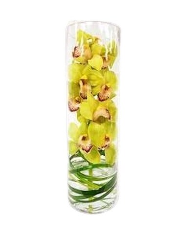Large Yellow Cymbidium Orchid Specialty Arrangement