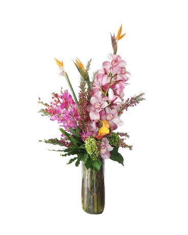 Cymbidium Specialty Arrangement