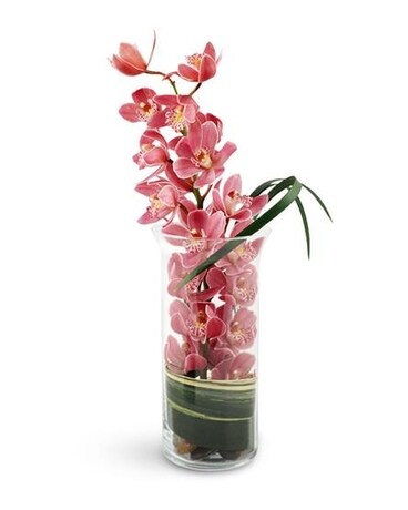Large Pink Cymbidium Orchid Specialty Arrangement