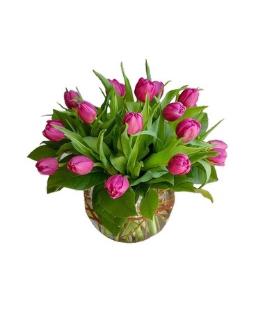 tulips Flower Arrangement