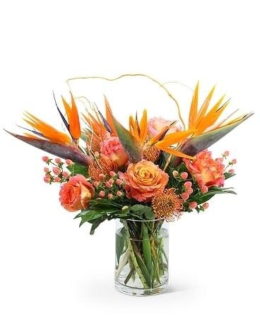 Exotic-116 Specialty Arrangement