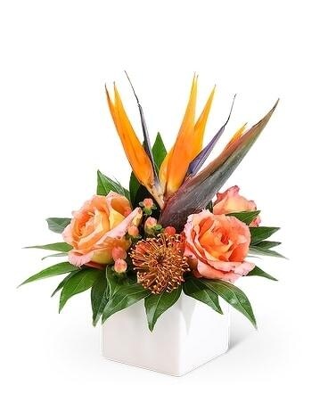 Exotic-112 Specialty Arrangement