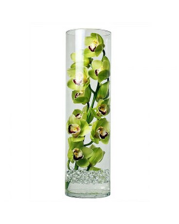 Large Green Cymbidium Orchid Specialty Arrangement