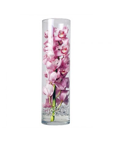 Large Pink Cymbidium Orchid Specialty Arrangement
