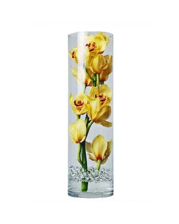 Large Yellow Cymbidium Orchid Specialty Arrangement