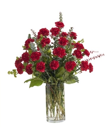 2 Dozen Red Carnations Flower Arrangement