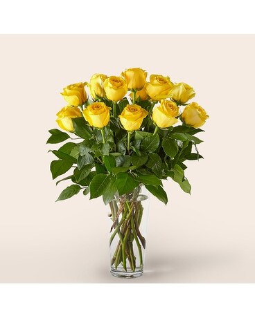 1 Dozen Yellow Roses Flower Arrangement