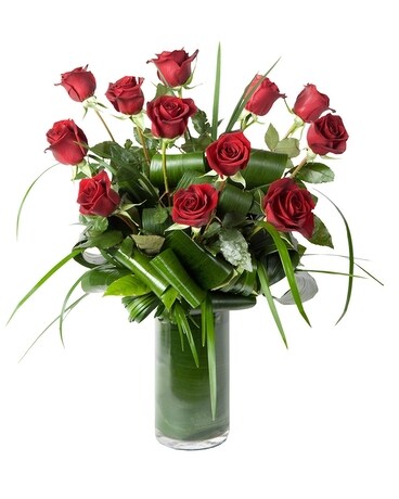 Dozen Roses - Long Stem Flower Arrangement