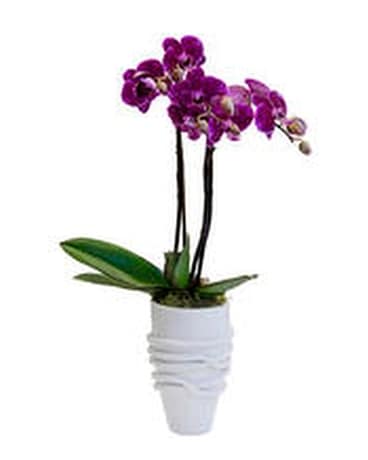 Mini-Me Flower Arrangement
