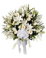 Deluxe size,  inches height and  inches wide.