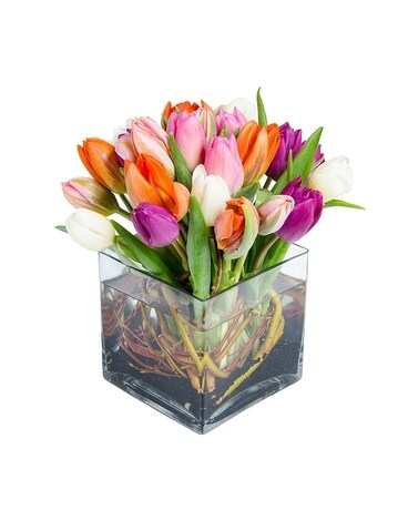 Tulip! Tulip! Flower Arrangement