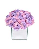 24 Roses size,  inches height and  inches wide.