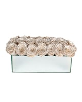 23 Roses size,  inches height and  inches wide.