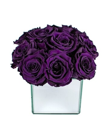 12 Roses size,  inches height and  inches wide.
