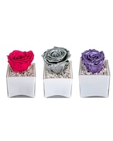 3 vases- single roses size,  inches height and  inches wide.