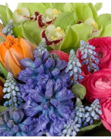 Spring Blooms-Designers Choice Flower Arrangement