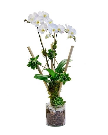 Zen in New York City NY - Big Apple Florist