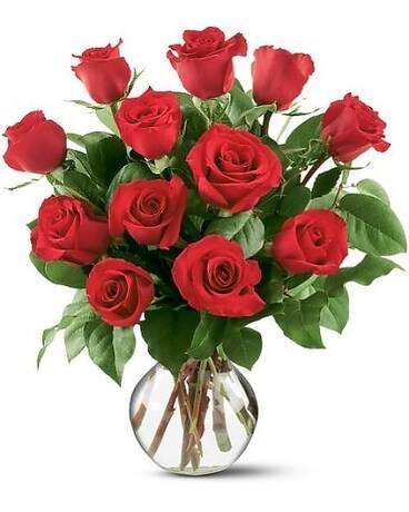 1 Dozen Red Long Stemmed Roses Flower Arrangement