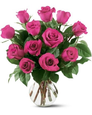 12 Hot Pink Roses Flower Arrangement